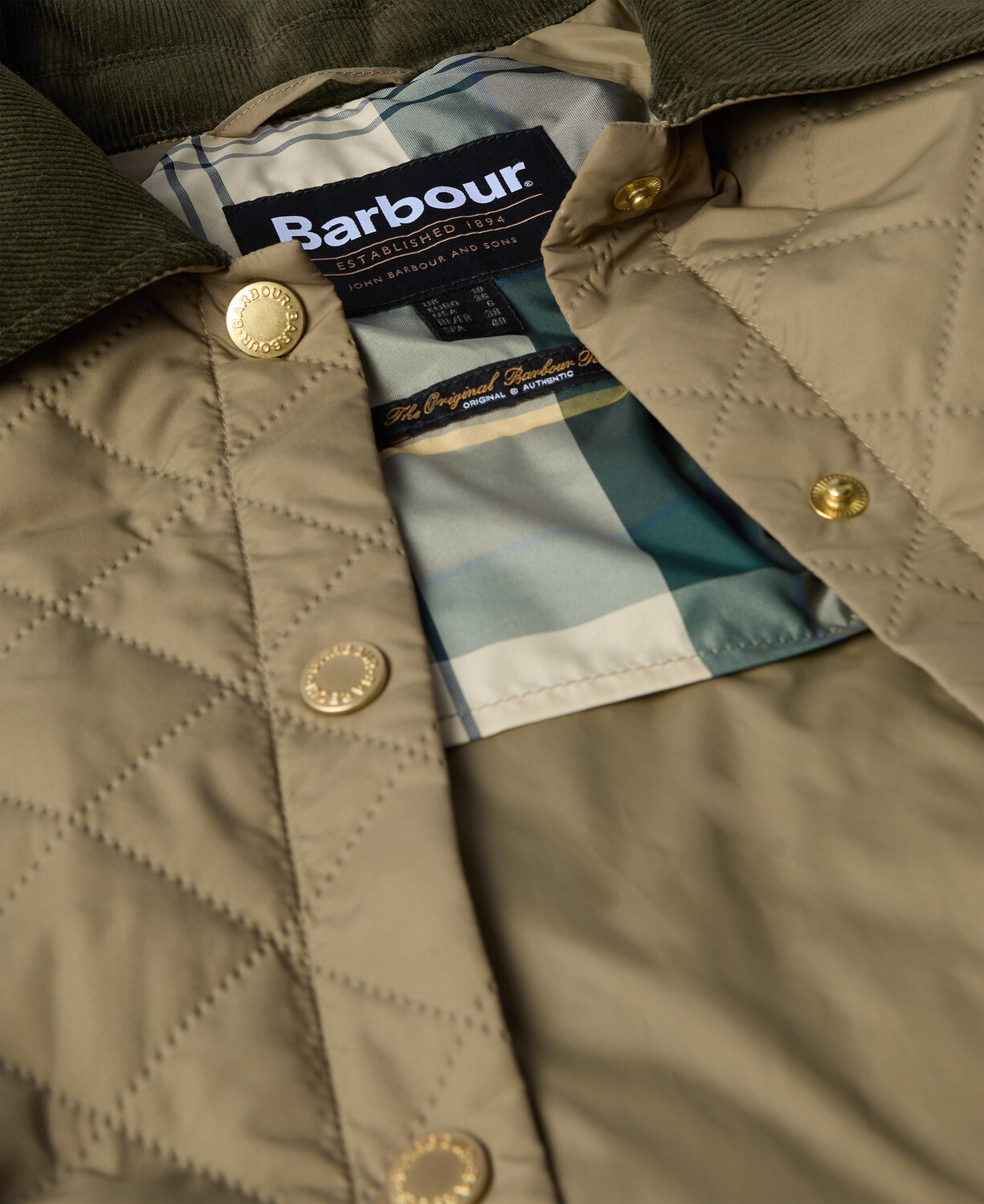 Campera Anise Quilt